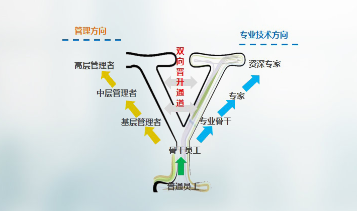 香港168大型印刷图库