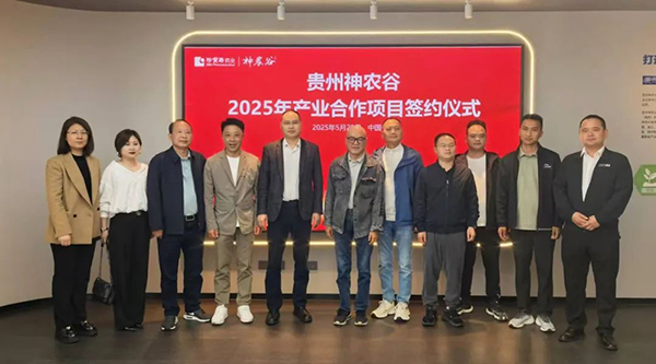 香港168大型印刷图库
