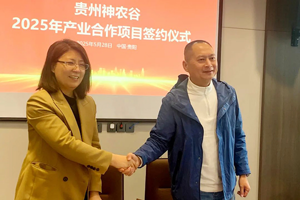 香港168大型印刷图库
